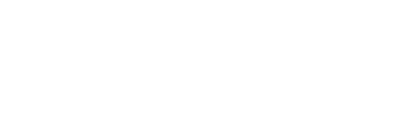 FalKor Aviation Academy